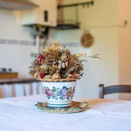 Apartamento Brunello