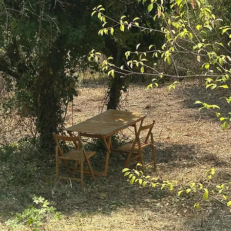 Brunello דירה