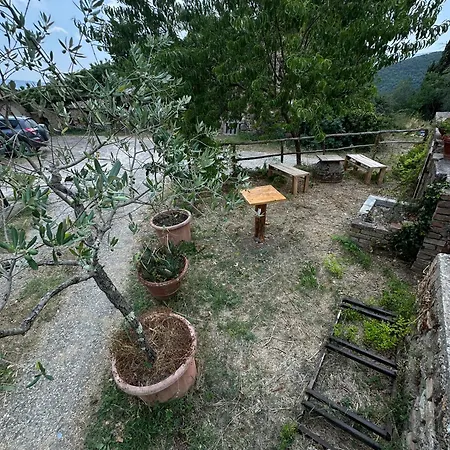 Brunello